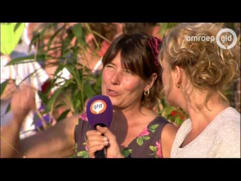 Zomer in Gelderland 26 augustus 2016 - Zeddam