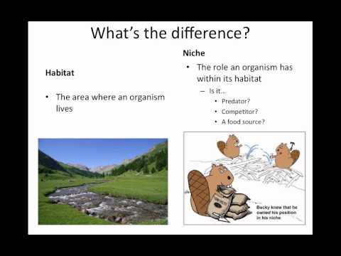 CH.4 Ecosystems and Communities