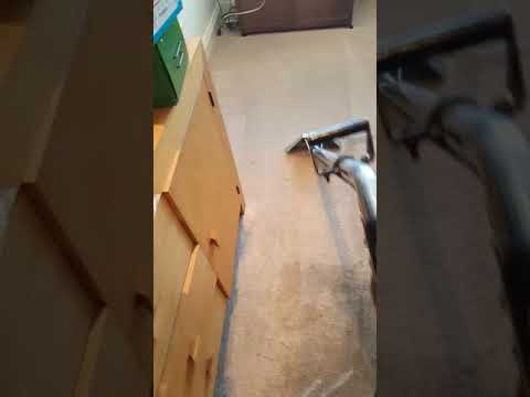 Impact Carpet Cleaning and Upholstery Cleaning video.