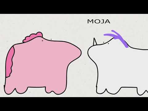 Kuce w kolejce (od tyłu)