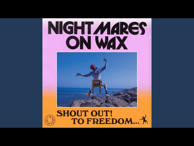 Nightmares On Wax - 3D Warrior (Remix Stems)
