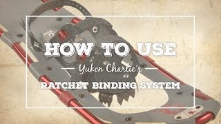 Tecnoseal Anode Kit w/Hardware - Mercury Bravo 1 - Aluminum