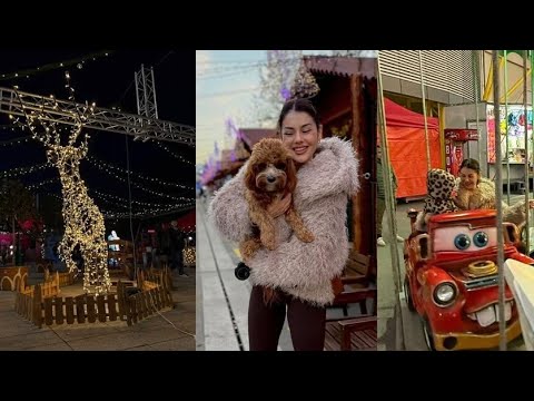 Отиваме до коледното село / Какво се случва с новия ми бизнес / Влог №224