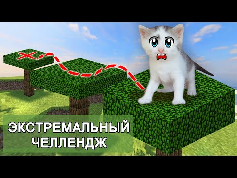 ЭКСТРЕМАЛЬНЫЙ ЧЕЛЛЕНДЖ для КОТОВ! КТО ЛУЧШЕ из ЖИВОТНЫХ? ПОДПИСЧИКИ выбирают ПОБЕДИТЕЛЯ