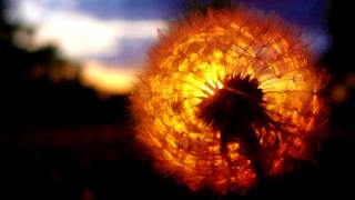 Deptford Goth - Union