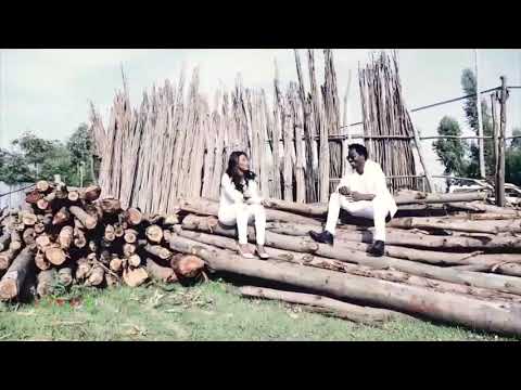 DIbabe Ademe : Dibaabee - New Oromo Music 2017