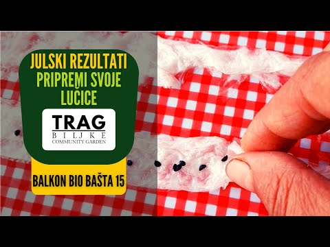 JULY RESULTS - BALCONY BIO GARDEN 15 - PREPARE PORTS - (2022) [TRACE OF THE PLANT]