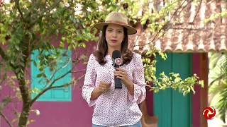 Miniatura do vídeo
