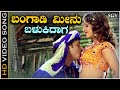 Bangadi Meenu Balukidaga Video Song From Ravichandran S Kannada Movie Pandu Ranga Vittala