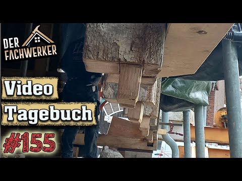 Fachwerkhaus VLog #155 - Denn Zapfen kann man nie genug haben!