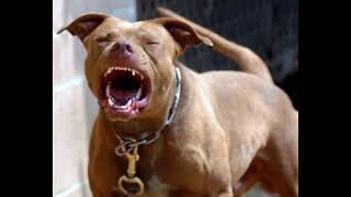 bounce out with that Remix - Gee Baby ft Tank