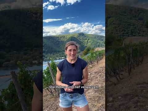 #LAGENLIEBE Rüdesheimer Berg Schlossberg
