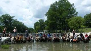 Chris Rea - Texas.wmv