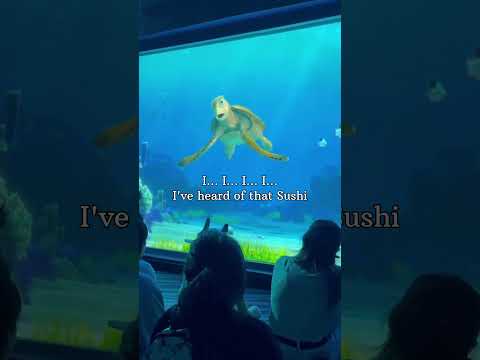 MANNERS | Turtle talk with crush 😂