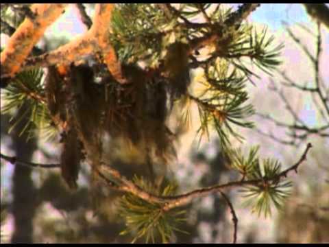 Mart Perendi from Solid Powder 3