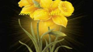 Il giardino proibito Music Video