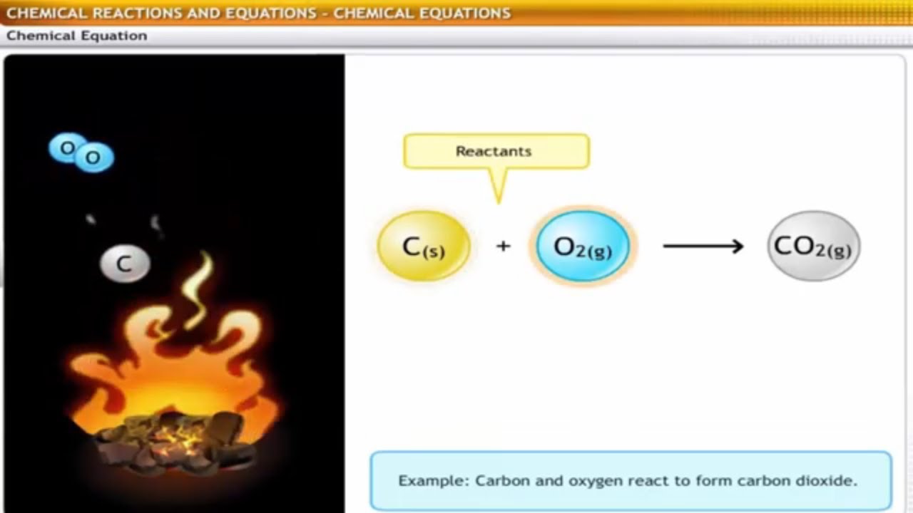 CBSE Class 10 Science - 1 || Chemical Reactions and Equations || Full Chapter ||by Shiksha House
