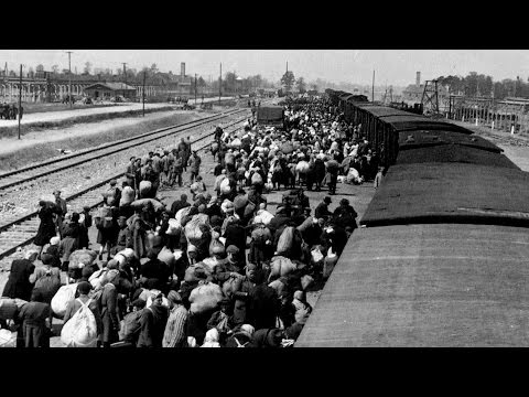 Holocaust Survivor Irving Roth Part Three: As a 14 Year Old, Arrives at Auschwitz