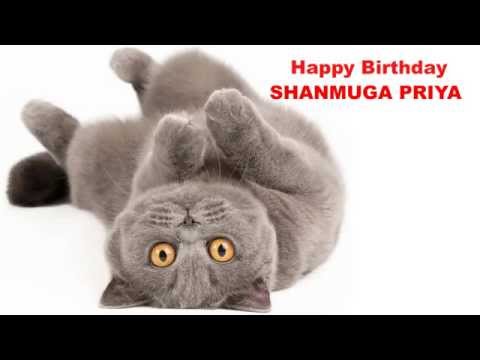 ShanmugaPriya   Cats Gatos - Happy Birthday
