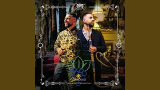 Ruf mich nicht an (Instrumental)