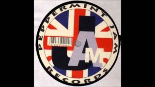 Tom Jones &amp; Mousse T. - Sex Bomb (Sounds Of Life Half Vocal Mix) (2000) (HQ)