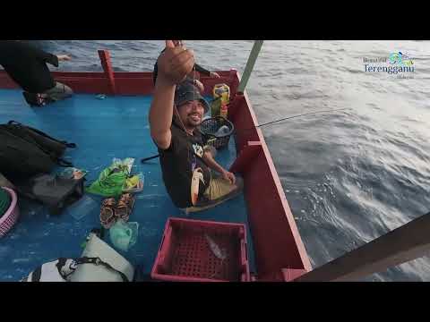Musim Candat Sotong Terengganu