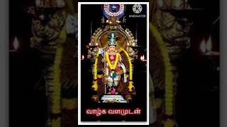 Download lagu enakkum idam undu murugan song in tamil 🙏#shortvideo #devotionalsongs #youtubeshorts #whatsappstatus mp3