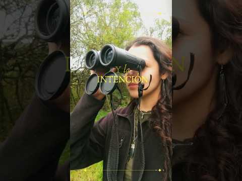 Observar Aves - Yungas- ¿Cómo empezar?