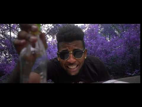 INSOMNIAK - Chuck Norris