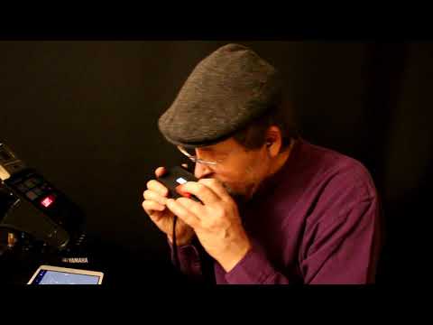 Brendan Power - HARMONICA SOUNDBITES - DM48 MIDI Harmonica through the SWAM Trumpet app in the IPad