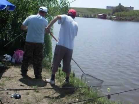 Pe balta 3 Iunie 2012 Calareti 3 Un ten nervos