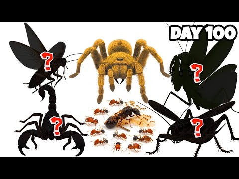 1,000 Ants Vs  Golden Spider and Deadliest Insects| Simulating Ant Colony for 365 Days | 😱 ANTTREK