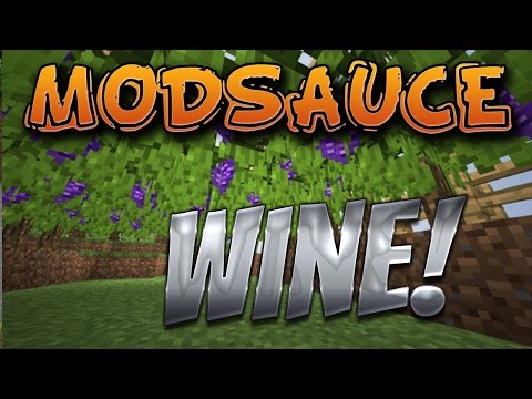 HermitCraft MODSAUCE {EP.8} For your WINE!