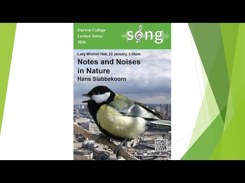 Notes and Noises in Nature: Not a Swan Song? | Hans Slabbekoorn