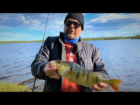 Vain ISOJA Ahvenia - (Lapin Taikaa I - Osa 1)