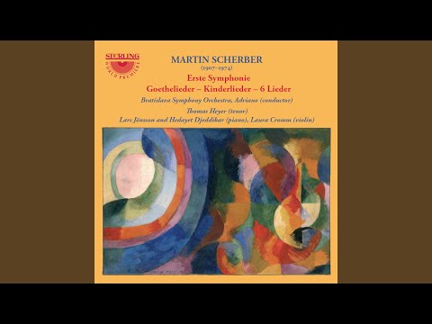 Symphony No. 1 in D Minor: I. First Movement