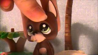 LPS: Whistle - Music Video