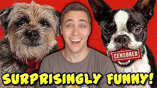 The Raunchy Dog Movie Is Surprisingly Funny! (Strays Review)