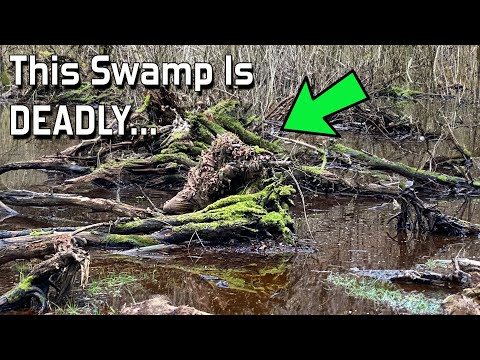 Ghillie Swamp Camo They Couldn’t See ☠️ (Airsoft Sniper)