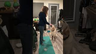 Zen Bowls - great game to improve clarity , helps learn impulse control  &amp;  improve relationship