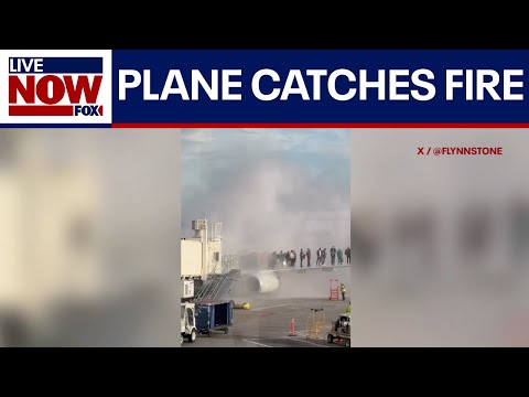 Video | American Airlines plane catches fire at Denver International Airport | LiveNOW from FOX