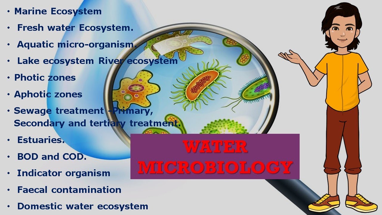 Aquatic Microbiology (Water Microbiology)