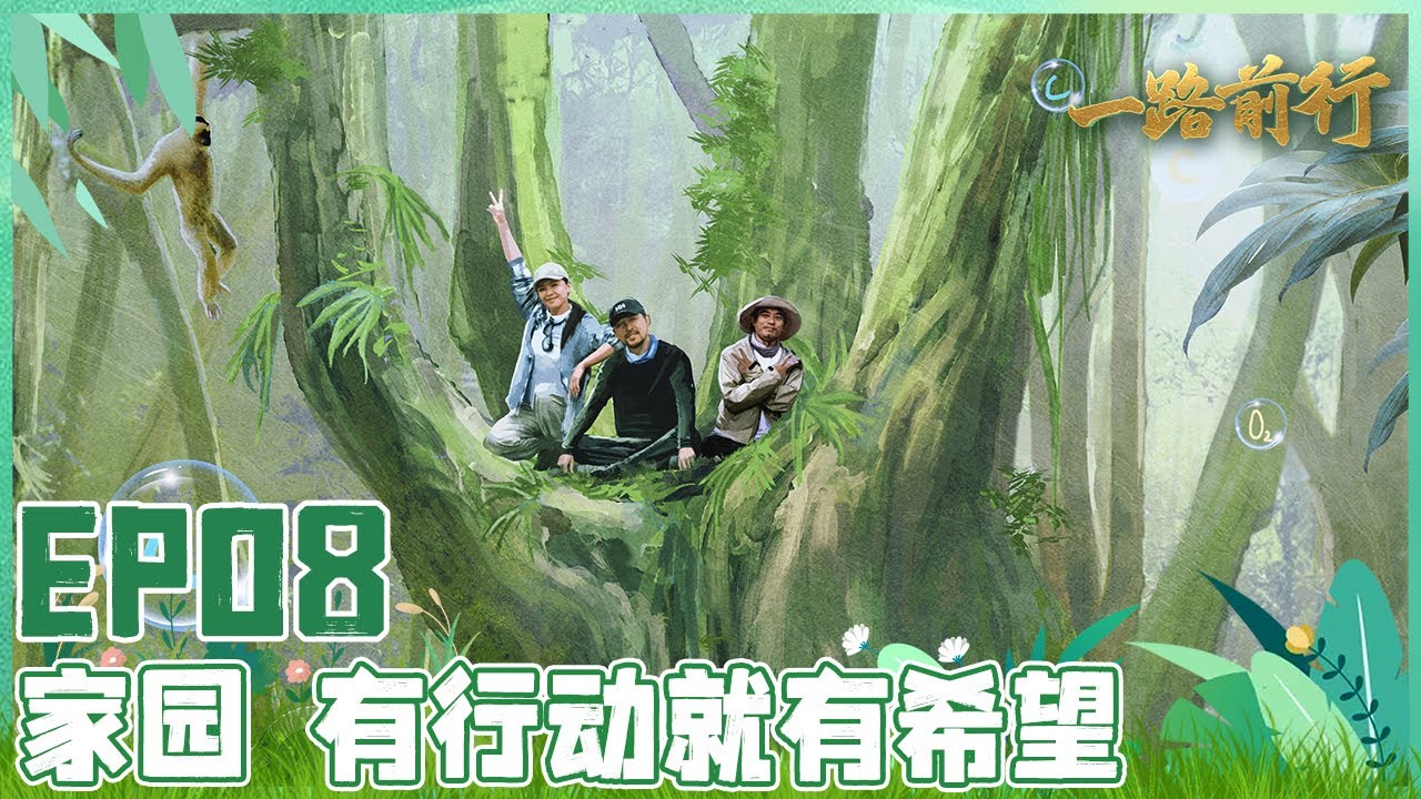 【#一路前行 EP08】胡歌、刘涛带你一起走进雨林，身临瀑布，感受大自然的气息，聆听大自然的声音，将环保进行到底！| Full |【SMG上海电视台官方频道】
