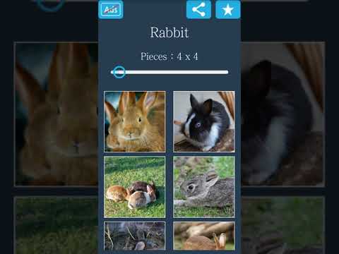 Jigsaw Puzzle: Rabbit Video