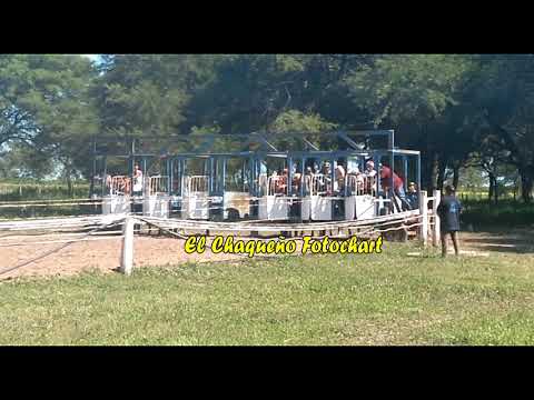 CLASIFICATORIA POLLA DE POTRILLOS HARAS DON TITO GENERACION 2018 TRES ISLETAS CH 5 12 21