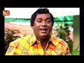 Lassanai Balanna Oyage Mal Sina ලස්සනයි බලන්න H R Jothipala Romesh Jothi