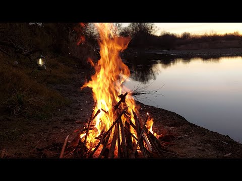 4K Bonfire at sunset. 🌿 Soothing sounds of pure nature