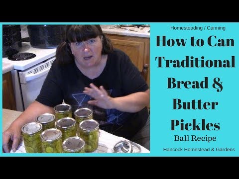 download lagu mp3 mp4 Ball Traditional Bread And Butter Pickles Recipe, download lagu Ball Traditional Bread And Butter Pickles Recipe gratis, unduh video klip Ball Traditional Bread And Butter Pickles Recipe