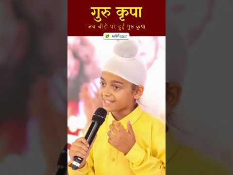 सतगुरु की कृपा: जब चींटी पर हुई गुरु कृपा