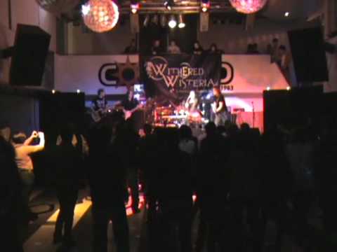 Weight of the world - Withered Wisteria - Evanescence Tribute Band - @ Corallo